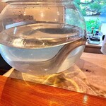 日本料理 別府 廣門 - 