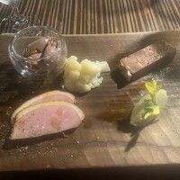 常春 - 