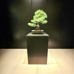 ザ・リッツ・カールトン京都 - 