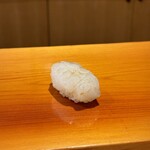 鮨 あらい - アオリイカ。美味い。