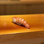 鮨 あらい - 海老。臼井大将は岐阜シティの出身なので親近感わきます。