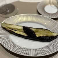 スガラボヴィー - 