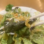 レストラン やなぎ - 