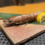 酒囲屋本店 - 活車海老の炙り