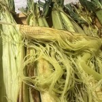 コクブンジ肉バル Tetsuo - 