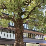 南国フルーツパーラー - 