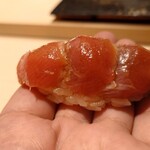 くろ﨑 - 大トロ　噴火湾の定置網90kg台