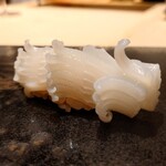 くろ﨑 - 白烏賊