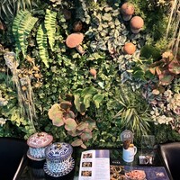 Shangri-La's secret ROPPONGI - 