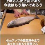 寿し おおはた - 