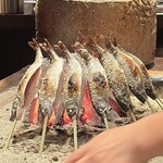 たでの葉 - ヤマメがもうすぐ焼き上がります♪
      ヤマメは雑食なので内臓は取り除いています