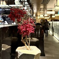 焼肉トラジ ルクア大阪店 - 
