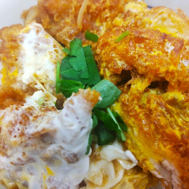 Katsuya Kawasaki Mizonokuchi Ten - Mizonokuchi/Tonkatsu