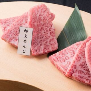 定額安心の食べ放題プラン