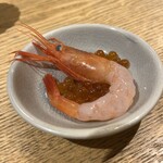 新橋貝介 - 甘海老といくら