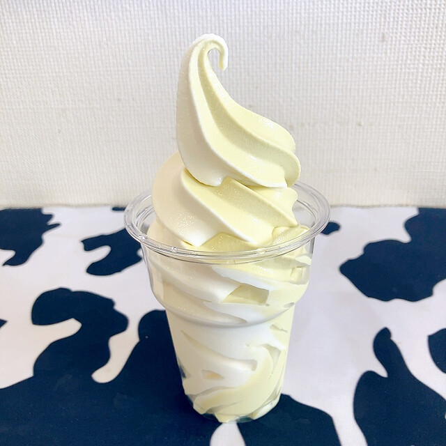 ノルディックファーム 遠軽本店 - 生田原/ジェラート・アイスクリーム