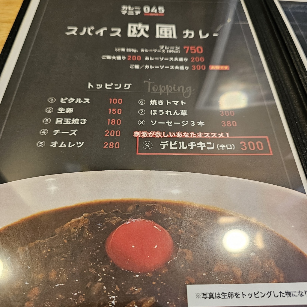 メニュー写真 : カレーマニア045-SPICE- 伊勢佐木町店 - 関内/カレー
