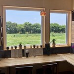 陶芸cafe ねことらまえ - 