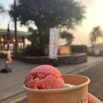 イル キャンティ カフェ 江の島 - 