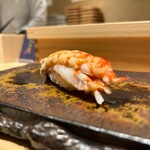 壽志 丈太朗 - 巨大な車エビ