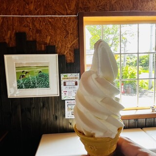 むらかみ牧場 グレースコート_1