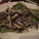 フォセッタ - 豆鯵のフリット