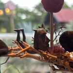 プレゼンテ スギ - シェフからの最初の贈り物〜定点 トマト飴
      　キプロス島の塩  ローズゼラニウム