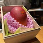 鮨shizuku 西天満 - 