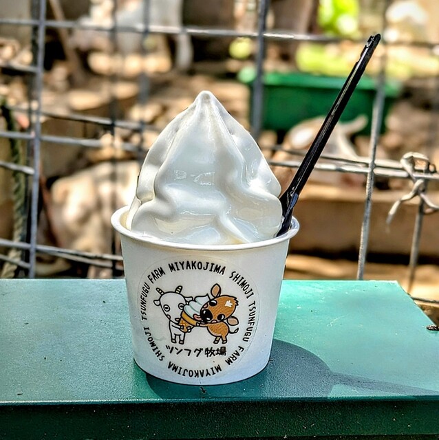 ツンフグ牧場 - 宮古島市/ソフトクリーム | 食べログ