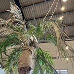 ダンザ パデーラ - 