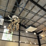 ダンザ パデーラ - 