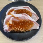 じゅうじゅうカルビ - お肉