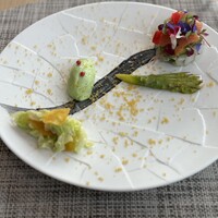 オープチデリス - 
