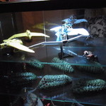 じどりや 穏座 - 