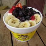 LANIKAI JUICE - ACAI EXTRAVAGANZA