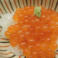 緒方 - いくらごはん