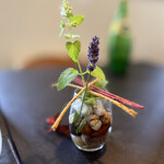 LAINE INAMURAGASAKI - 