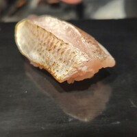 立喰 鮨となり - 