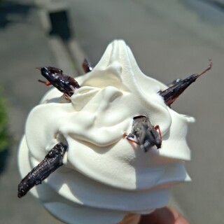 諏訪湖観光汽船 売店_0