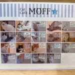 Cat Café MOFF - 猫紹介