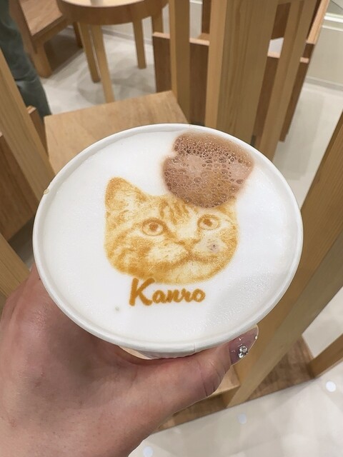 Cat Cafe MOFF Ionmoru Nagoyadomu Maeten photo 3