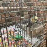 イノダコーヒ - 可愛い^_^