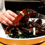 カステロ ヌォーボ - 