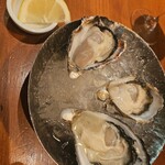 Oyster Lab - 