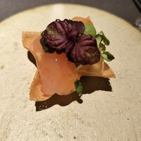YANAGI TePPaN UNBORN GASTRONOMY - 