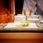 天白 - ⑥アオリイカ