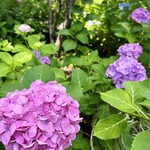 旧三井家下鴨別邸 - 