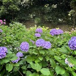 旧三井家下鴨別邸 - 