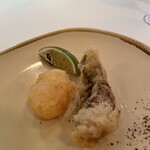 トラットリア フィレンツェ・サンタマリア 南青山店 - 