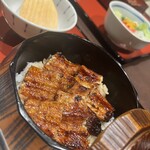 翔峰 - ひつまぶし(松)